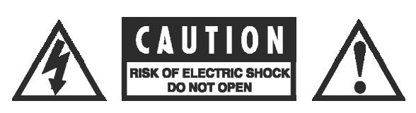 IMPORTANT SAFETY NOTICES The triangle with the lightning flash symbol displayed on the unit advises the user of dangerous uninsulated voltage inside the product s enclosure.