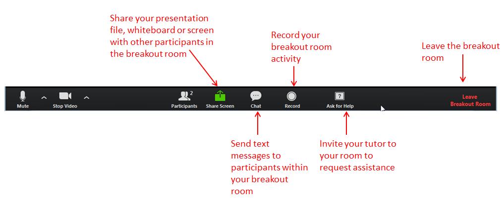 Your breakout room interface is very similar to the webinar main room.