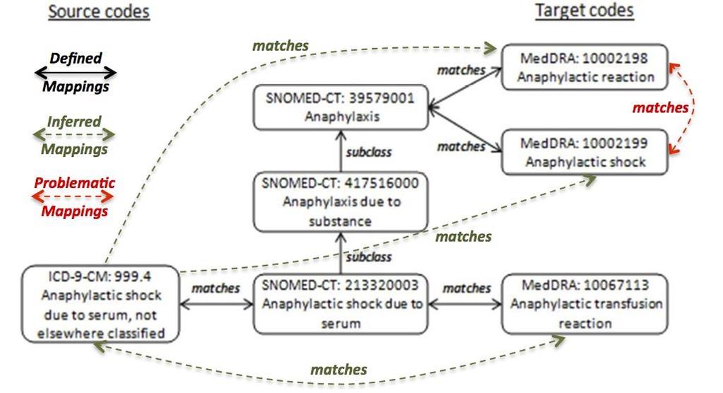 Figure.2. Defined and inferred mappings between ICD-9-CM and MedDRA terms This paper presents a semantic framework for the representation, evaluation and utilization of terminology mappings.
