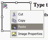 d. Inserting an image into your article. i. Locate the image you want to copy/paste into the article.