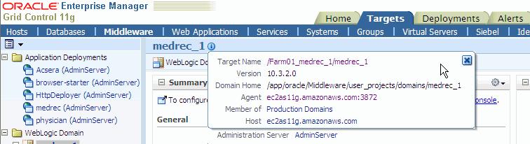 The contents pane contains various regions each with a variety of configuration, availability and performance data concerning the domain.