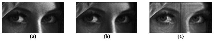reconstructed images at 0.56m is shon in Fig. 2(c). It can be seen that although the overall brightness is increased, the reconstructed image is heavily contaminated ith noisy patterns.