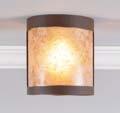 Stain (TS) Rustic Plain (#A47501) Close-to-Ceiling Lights