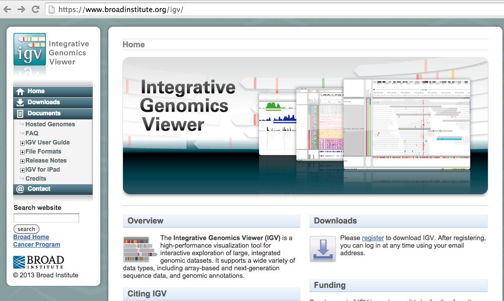 Visualization of DNA Methylation: IGV #download IGV Browser to your