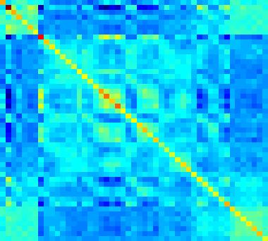Kernel matrix Kernel matrix = similarity measure Brain scan 2 Dot