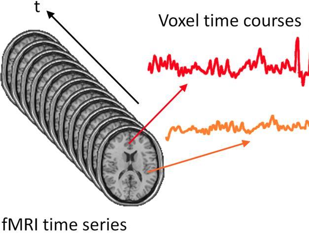 Introduction fmri time series = 4D image =