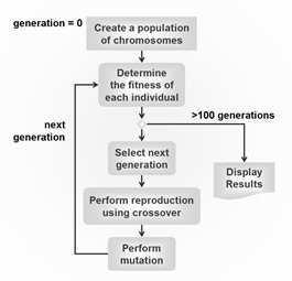 A complete iteration of this procedure (from step 2 to step 4) is called generation. A GA is tipically made of a number of generations between 50 and 500 (or even more).