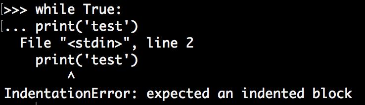 Indentation Error We ve fixed the while True: line.