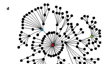 Properties of these networks are often compared with random graphs [9] that are to be considered simple networks.
