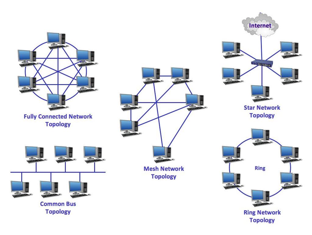 What kind of networks?