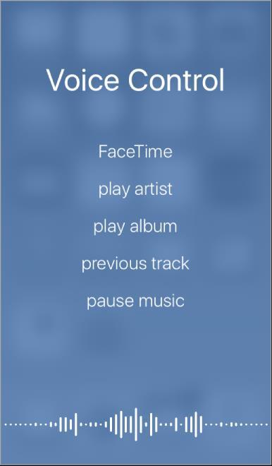 Voice Control Jei esate išjungę funkciją Siri, galite naudotis funkcija Voice Control, norėdami skambinti per FaceTime ir valdyti muzikos atkūrimą.