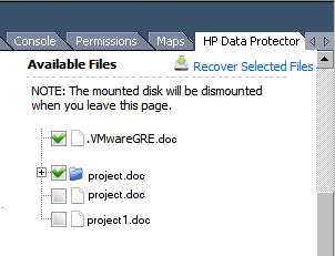 To maintain the original directory file structure from the source virtual machine disk on the target system, select Keep Directory Structure.