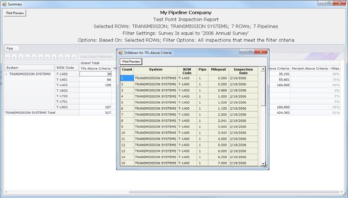 Summary Report Style The summary report allows you to analyze large amounts of pipeline data easily in a familiar spreadsheet format.