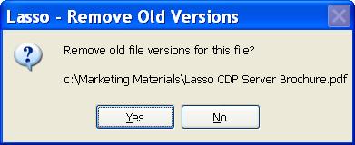 1.3.3 Remove Old File Versions You may want to remove old versions of files that you update often.