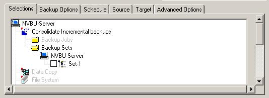 NetVault: Backup Built-in Plugins User s Guide 13 Figure 2-3: Data Selection for Backup Sets method 2. On the Selections tab, open the NVBU Server or Heterogeneous Client node.