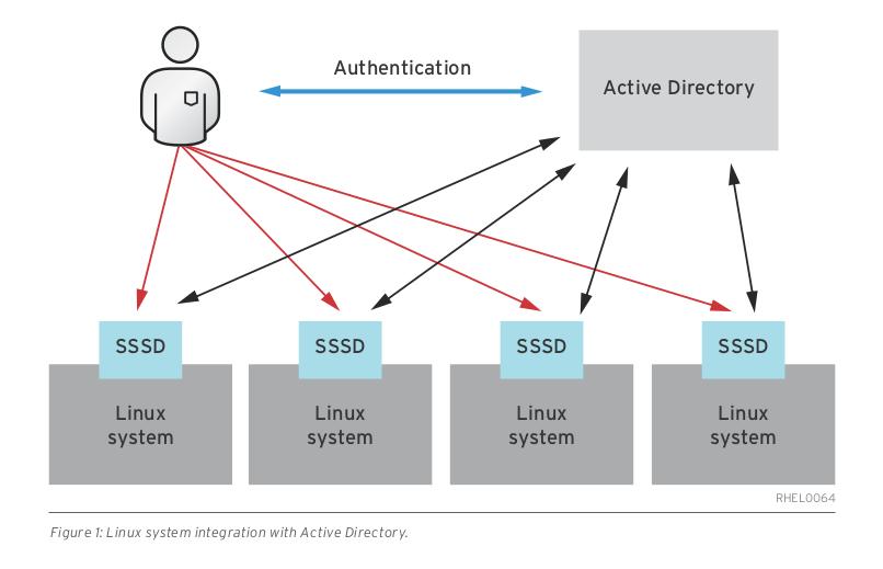 In these environments, Linux systems require access to Active Directory to perform authentication and identity lookups.