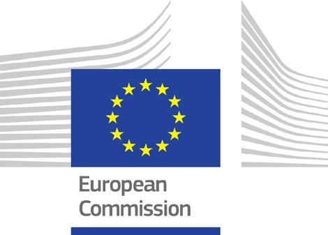 This report has been prepared by CEPIS in the framework of the European Commission funded project, which established the Secretariat of the Grand Coalition, and received support from the