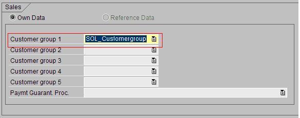 g. In the Sales tab, select Sol_Customergroup from the input help in field Customer Group 1. h. Click the save icon ( ). i. Repeat the steps to create additional sold-to parties.