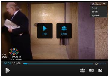 Using Subtitles and Captions 4. Use the URL indicated in the View as a standalone page with this player.