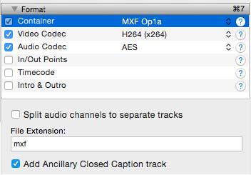 4. Enable captions in the encoded output by making one or both of these