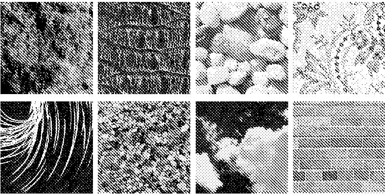 characteristic repetitive structures of a texture clustering texton dictionary each texture
