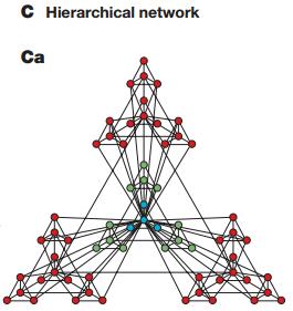 Network Motifes, modules measures and hierarchical networks Hierarchical modularity As the number of nodes increases, the number of modules increases exponentially The quantifiable signature of