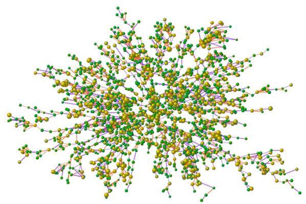 Shifting point in biological research net of networks Various types of interaction webs, or networks