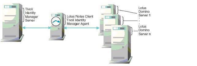Scenario 4: Running multiple Lotus Domino Servers The fourth supported configuration includes a single Tivoli Identity Manager Server, a single machine running the Notes Client with one instance of