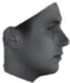 Based on principal component analysis (PCA) of 3D head shapes and texture captured with 3D scanners, a 3D morphable model [8] was proposed to simultaneously estimate 3D face shape, texture, and pose