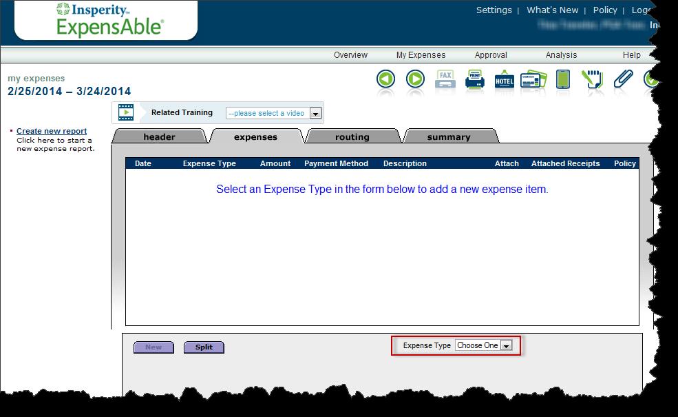 Use the expense type field to enter/select a new