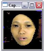Interface of face tracking software face skin image histogram III.