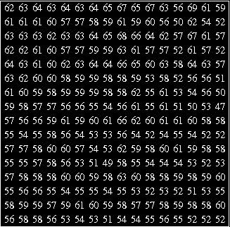 For subband image, BTC-PF returns P 5, with quantization levels m 0 h =1.1875, m 1 h =0.3125 and for watermark image, P 1, with quantization levels m 0 w =10.00, m 1 w =108.3333.