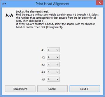 5. Click Next, then click Print to print an alignment sheet. Note: Do not cancel printing while you are printing a head alignment pattern. You see a window like this: 6.