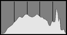 B Fotografavimo informacijos eranas Apie histogramą Šviesio histograma rodo espozicijos lygio pasisirstymą ir bendrą šviesumą. RGB histograma sirta patirinti spalvų sotį ir gradacijas.
