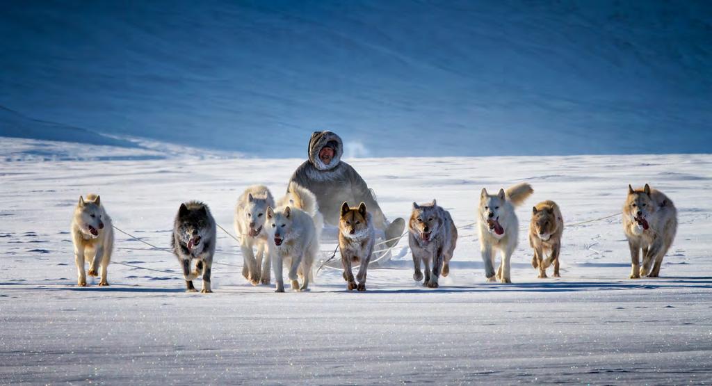 MUTUAL HAPPINESS & ENJOYMENTS. Arctic Bay s musher. Enjoyments of: land, snow, efforts, & deep horizons.