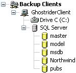 If you are not running Retrospect on the server, the SQL container is under Backup Clients. databases appear under the SQL Server container.