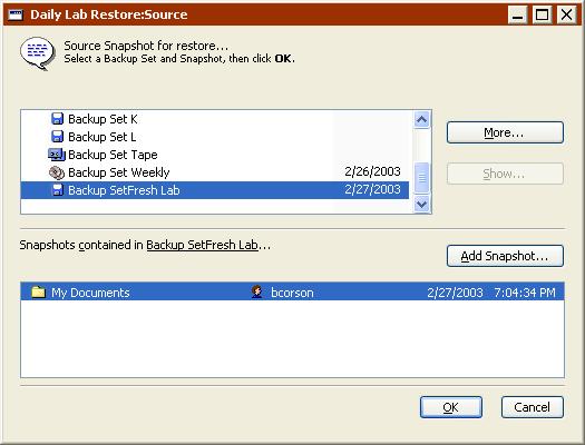 This script window is very similar to the immediate restore summary window, with information for the source Backup Set, destination volume, file selection criteria, and options.