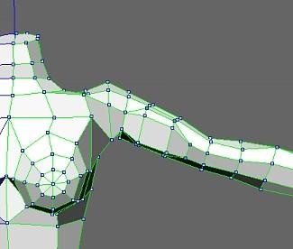 vertices positions.