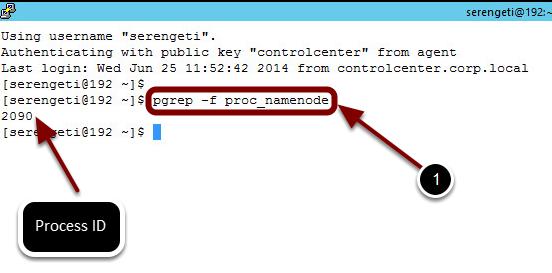 This command lists the processes running on the system with the string proc_namenode. You should see a process ID (as shown above), which we will kill in the next step.