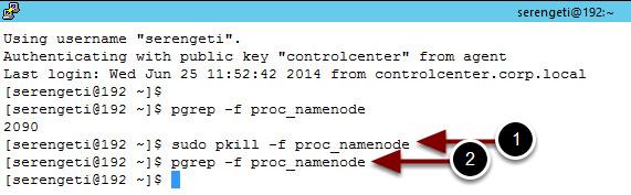pgrep command again (you should be able to arrow up twice to get back to this command): pgrep -f proc_namenode You should no longer get a PID returned, as shown above.