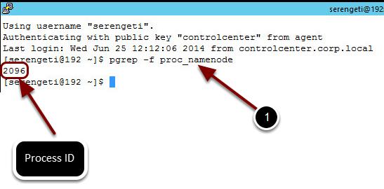 Verify New Namenode Process Issue the pgrep command again (you should be able to arrow up to avoid some keystrokes): pgrep -f proc_namenode Note we see the process ID again, which means the