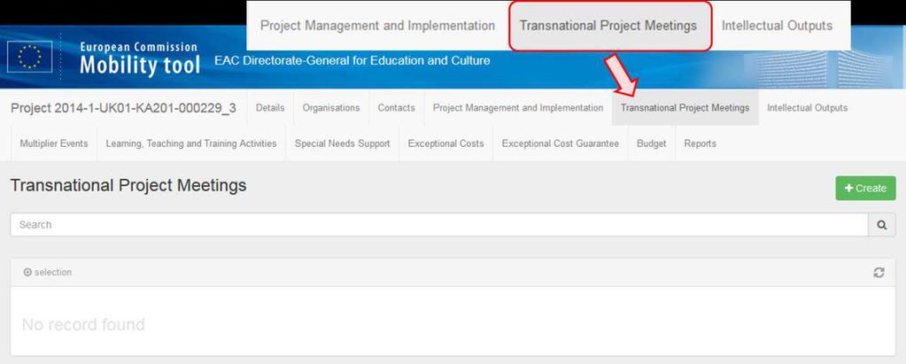 2. Open the "Transnational Project Meetings tab".