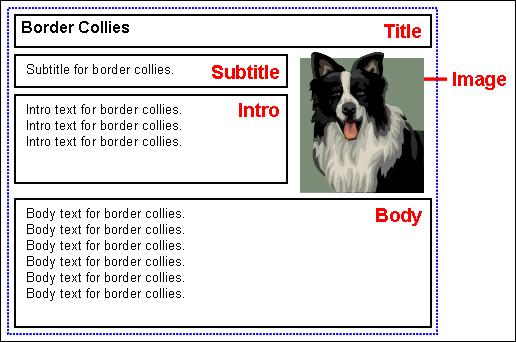Figure 3 10 shows an example of such a region template (with sample content), with a title at the top and a subtitle, introductory text, and body text below it.