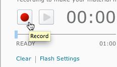 On the Evaluation page, click Record Audio (Figure 15). 3. The first time you use this feature, you will have to enable audio input through Adobe Flash.