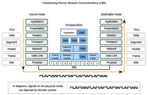 Physical Layer - Purpose The OSI Physical layer layer accepts a complete frame from the Data Link layer and encodes it as a series of signals that are transmitted onto the local media.