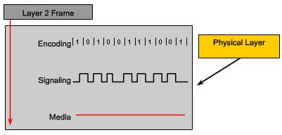 Physical Layer Fundamental Principles The 3 fundamental functions of the Physical layer are: The physical components The physical elements are the electronic hardware devices, media and connectors