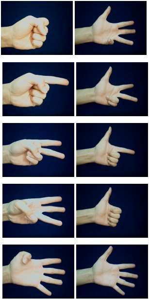 algorithm calculates three features of the image: compactness of the entire image, compactness of the left half of the hand, and the number of fingers by using radial distance profile.