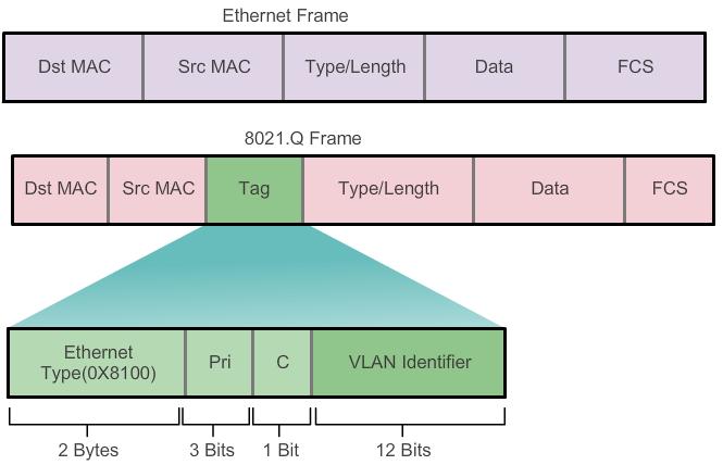 VLANs in a Multi-Switched Environment