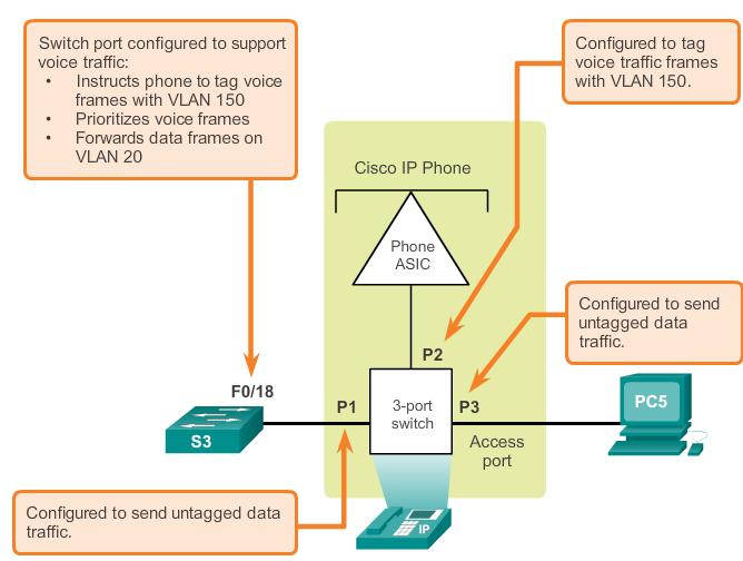VLANs in a Multi-Switched