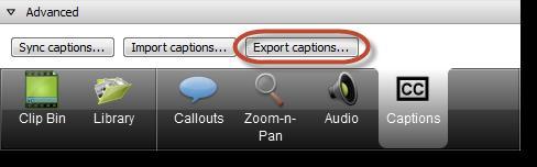 2. On the bottom of the Captions area, click Export captions. 3.